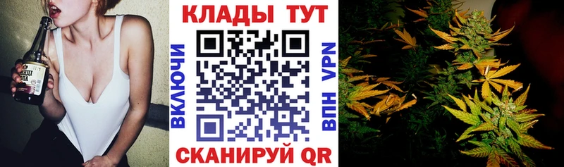 Где купить наркотики Ленск Канабис  COCAIN  OMG tor  ГАШИШ  ТГК 