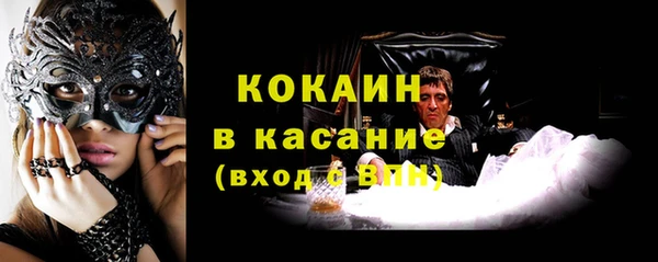 СК Пересвет