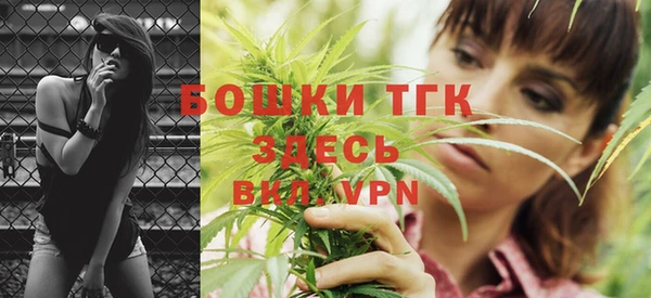 СК Пересвет