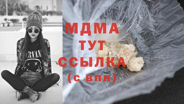 СК Пересвет