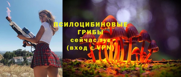 индика Зеленокумск